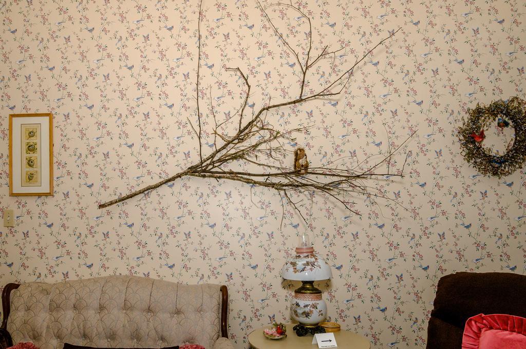 Bed and Breakfast Holly House Of Hamilton Экстерьер фото