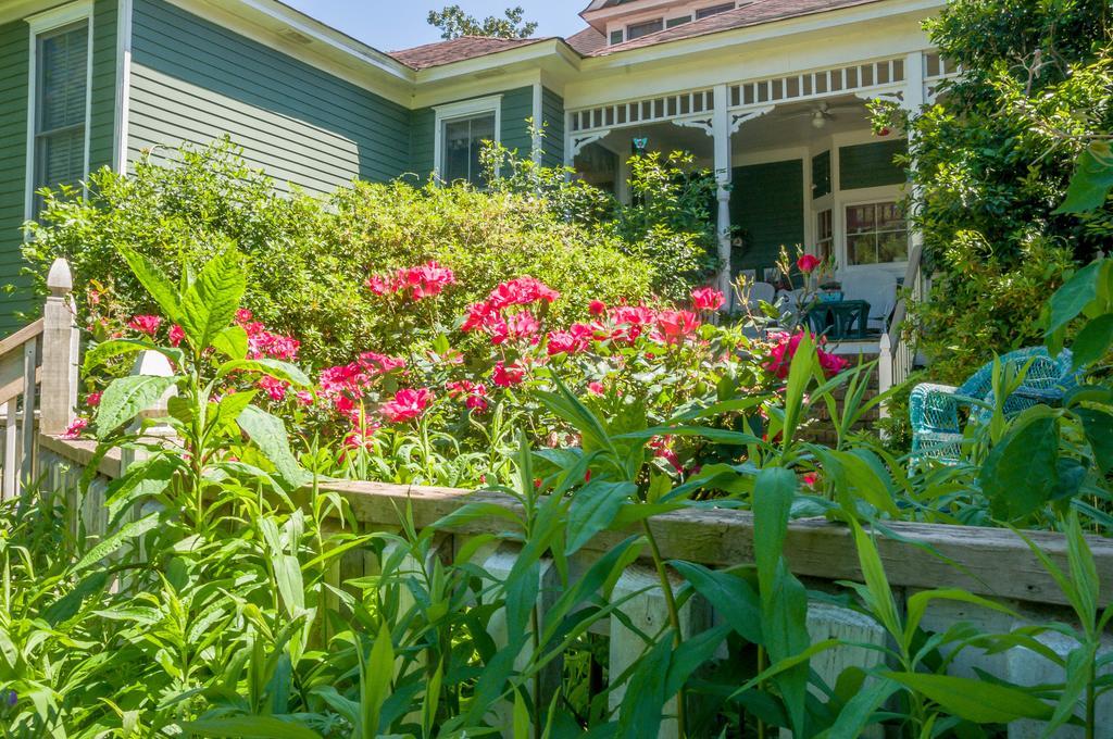 Bed and Breakfast Holly House Of Hamilton Экстерьер фото