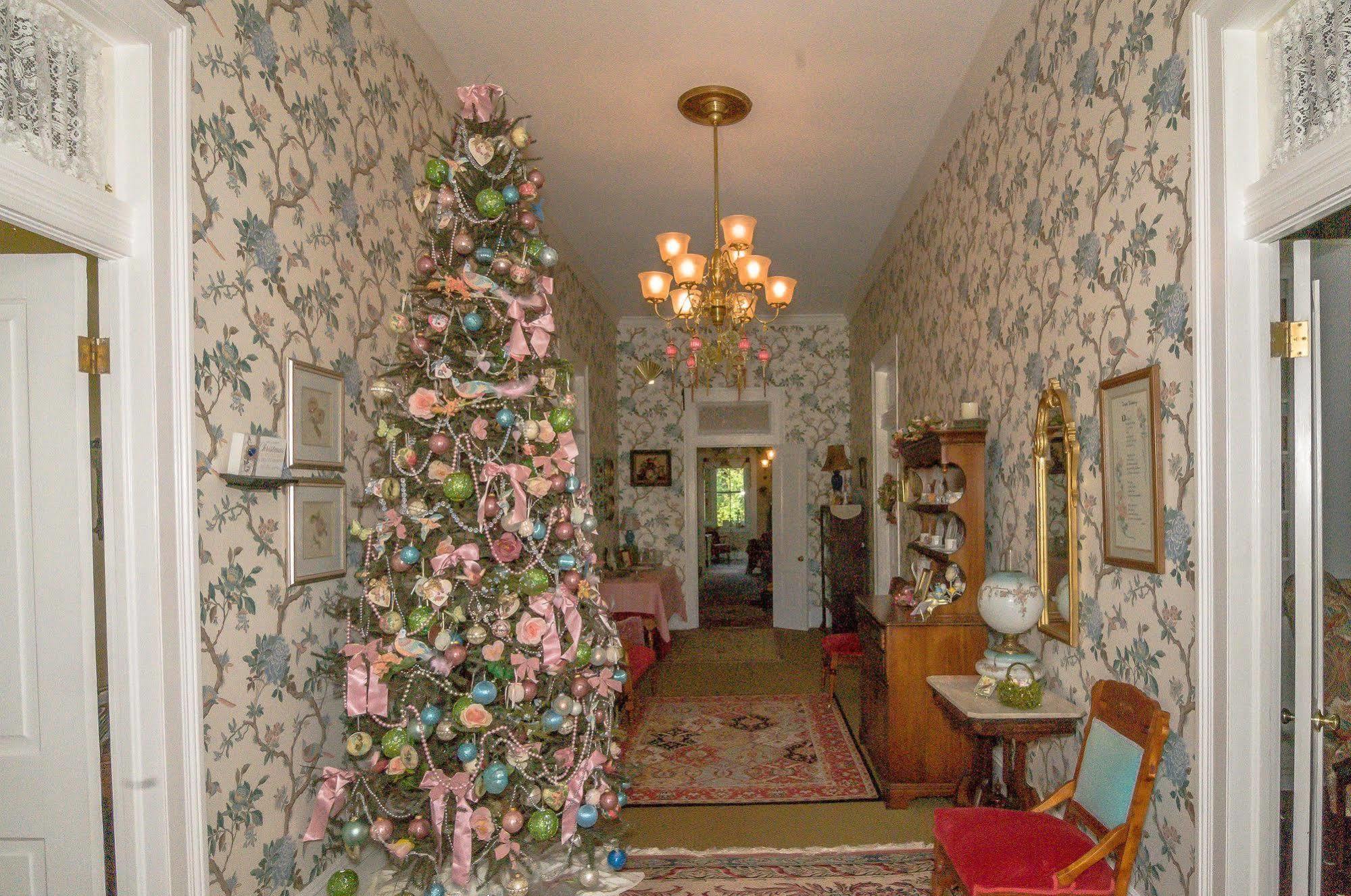 Bed and Breakfast Holly House Of Hamilton Экстерьер фото